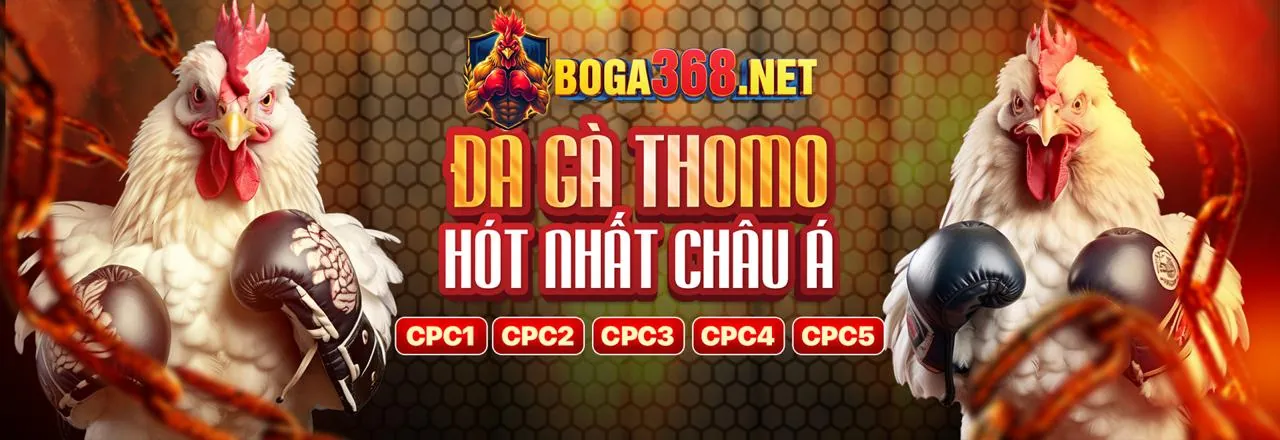 Đá Gà Thomo