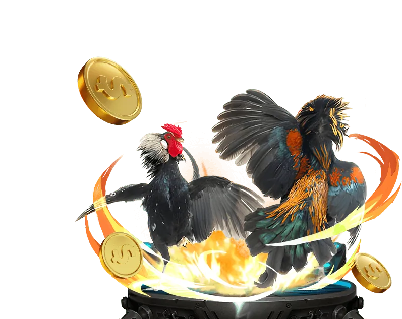 Đá Gà Philippines